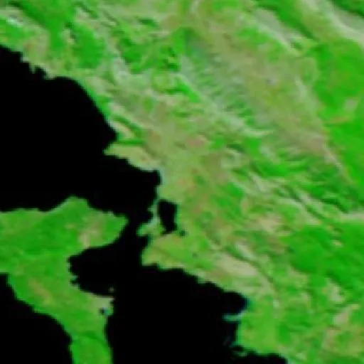 Wildfire near Aliko — NASA satellite