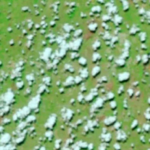 Incendio cerca de Almas (15 sep) — NASA satellite