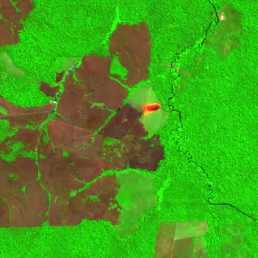 Wildfire near Altamira (Jul 24) — Sentinel-2 SWIR (fuego)