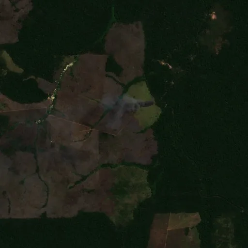 Wildfire near Altamira (Jul 24) — Sentinel-2 true color