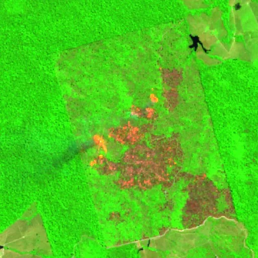 Wildfire near Altamira (Aug 3) — Sentinel-2 SWIR (fuego)