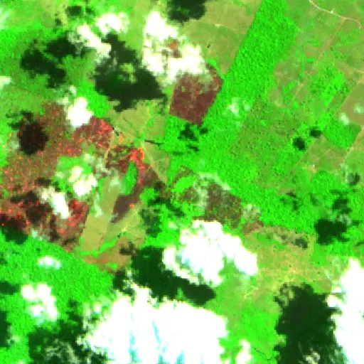 Wildfire near Altamira (Aug 27) — Sentinel-2 SWIR (fuego)