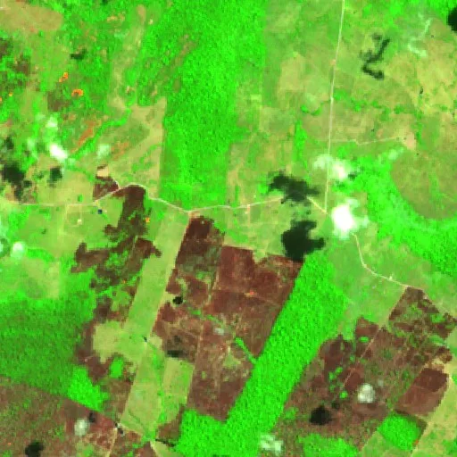 Incendio cerca de Altamira (30 ago) — Sentinel-2 SWIR (fuego)