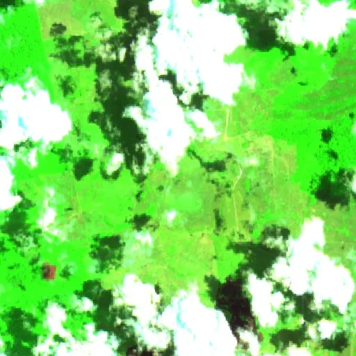 Wildfire near Altamira (Sep 17) — Sentinel-2 SWIR (fuego)
