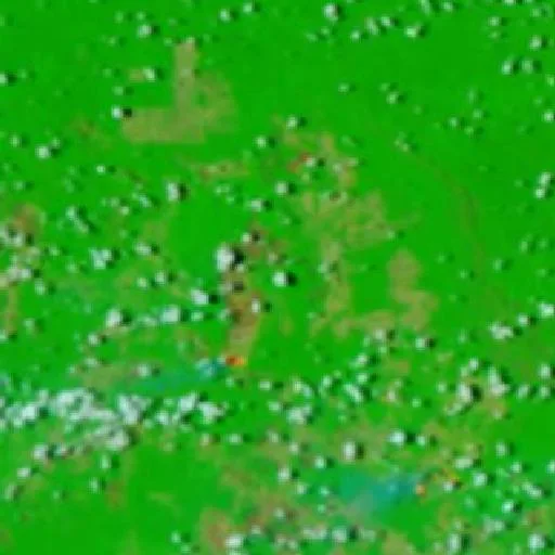 Wildfire near Altamira (Oct 1) — NASA satellite