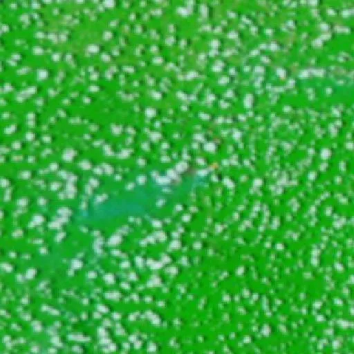 Wildfire near Alto Bonito (Oct 11) — NASA satellite
