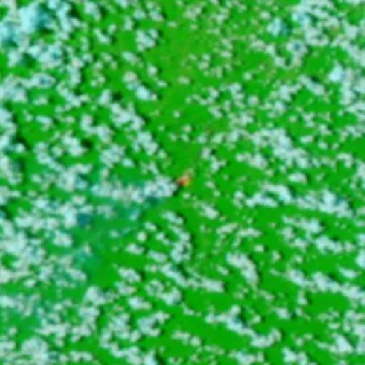 Wildfire near Alto Bonito — NASA satellite