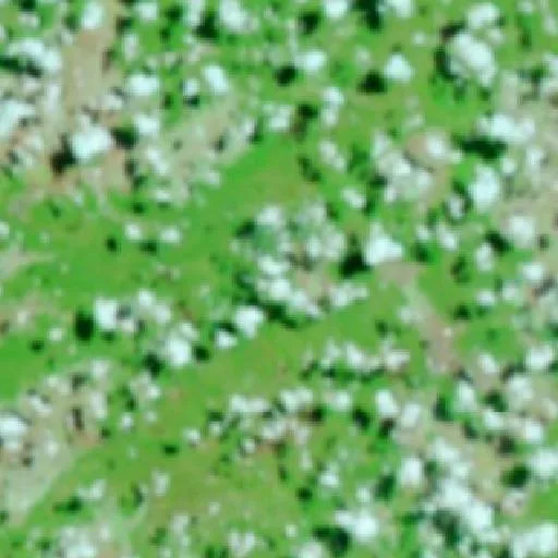 Incendio cerca de Alto Parnaíba (13 sep) — NASA satellite