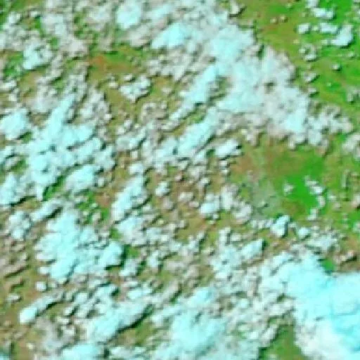 Incendio cerca de Alton Downs — NASA satellite