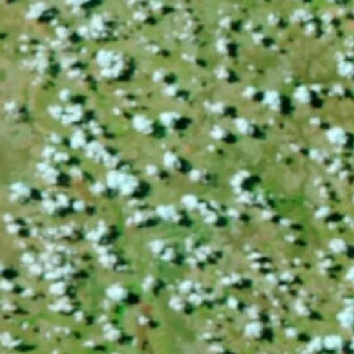 Incendio cerca de Alvorada do Norte — NASA satellite