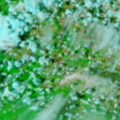 Wildfire near Amajari — NASA satellite