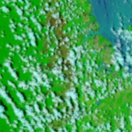 Incendio cerca de Amapá — NASA satellite
