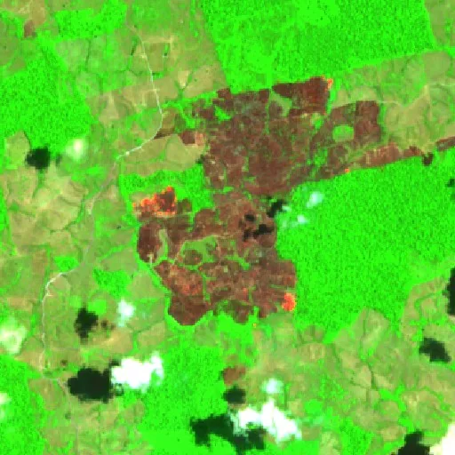 Wildfire near Anapu — Sentinel-2 SWIR (fuego)
