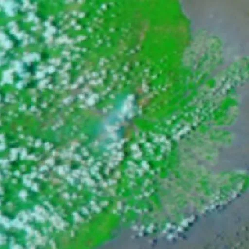 Incendio cerca de Anggana — NASA satellite