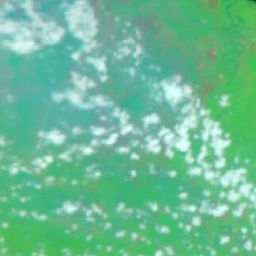 Incendio cerca de Angoram District (20 oct · E) — NASA satellite