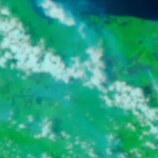 Wildfire near Angoram Village (Oct 1) — NASA satellite