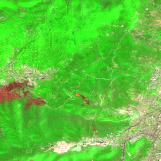 Wildfire near Annaba — Sentinel-2 SWIR (fuego)
