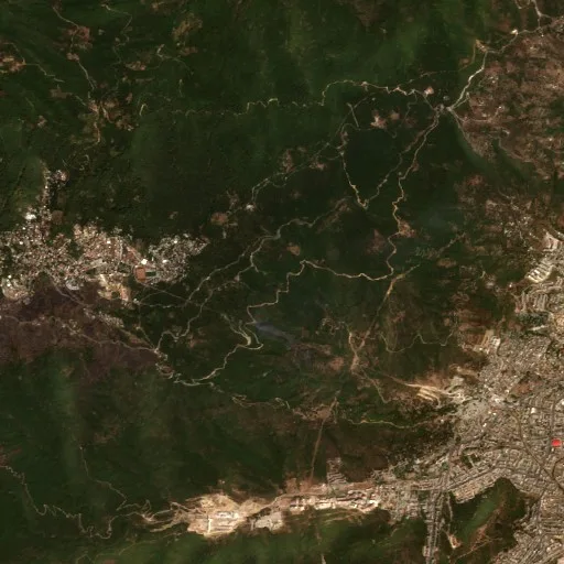 Wildfire near Annaba — Sentinel-2 true color