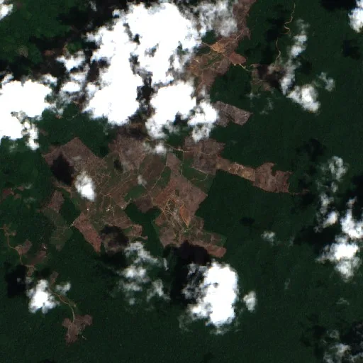 Incendio cerca de Apatou (14 oct) — Sentinel-2 true color