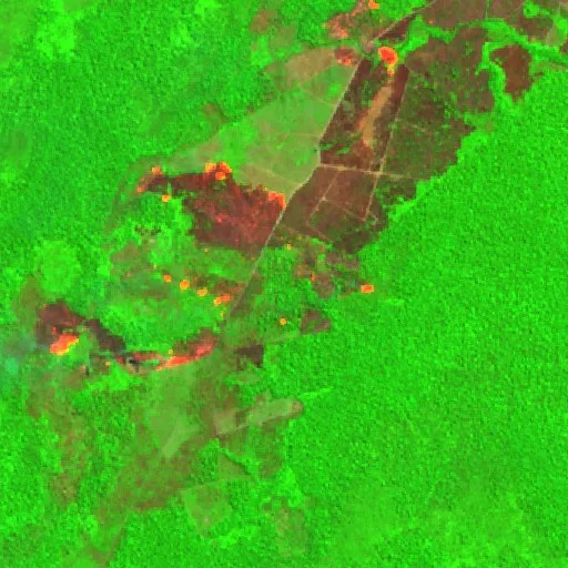 Incendio cerca de Apuí (21 ago) — Sentinel-2 SWIR (fuego)