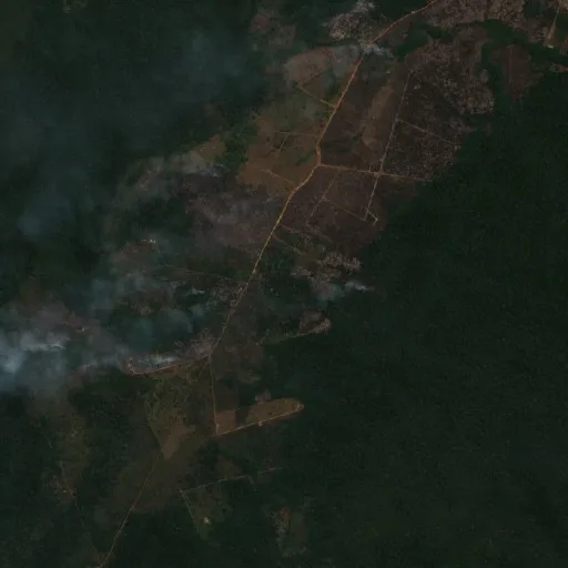 Incendio cerca de Apuí (21 ago) — Sentinel-2 true color