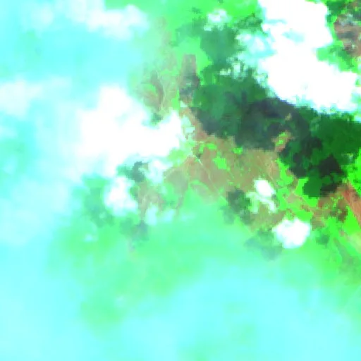 Wildfire near Apuí (Aug 22) — Sentinel-2 SWIR (fuego)