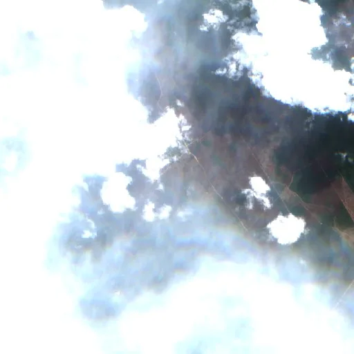 Wildfire near Apuí (Aug 22) — Sentinel-2 true color