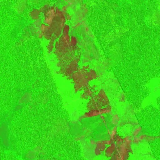 Wildfire near Apuí (Aug 23) — Sentinel-2 SWIR