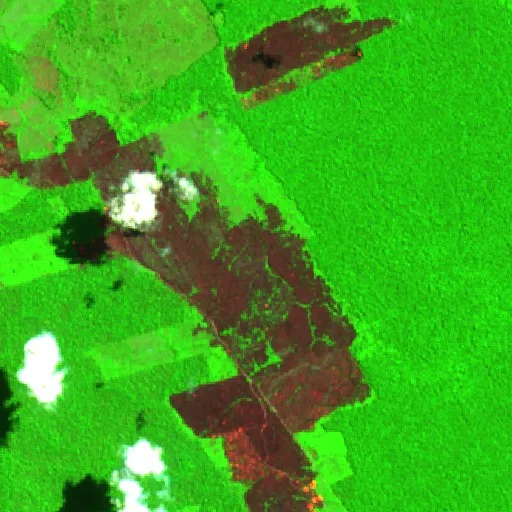 Wildfire near Apui — Sentinel-2 SWIR (fuego)