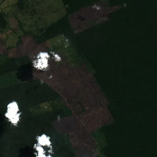 Wildfire near Apui — Sentinel-2 true color