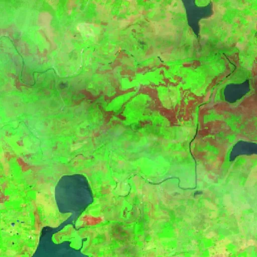 Incendio cerca de Aquiles Serdán — Sentinel-2 SWIR (fuego)