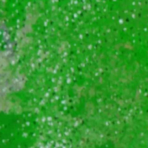 Incendio cerca de Arame (14 oct · NE) — NASA satellite
