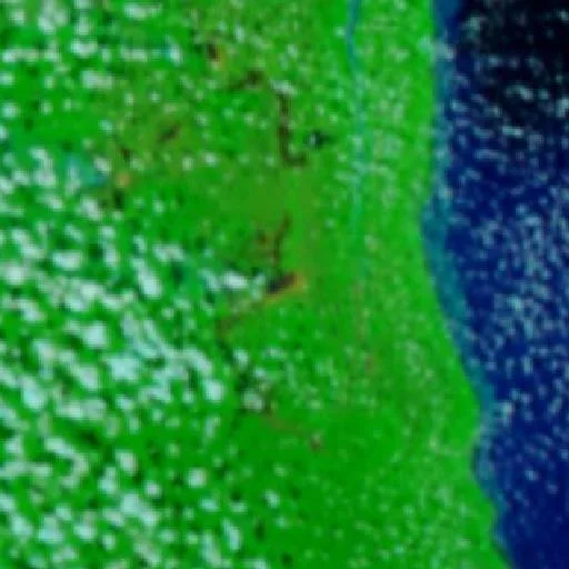 Incendio cerca de Arapirá — NASA satellite