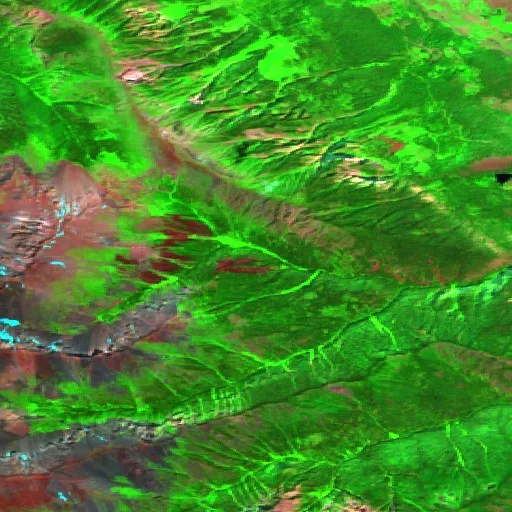 Riley Creek Fire — Sentinel-2 SWIR (fuego)