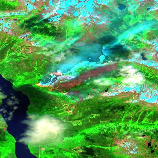 Incendio cerca de Area C (Pemberton Valley/Mount Currie/D'Arcy) — Sentinel-2 SWIR (fuego)