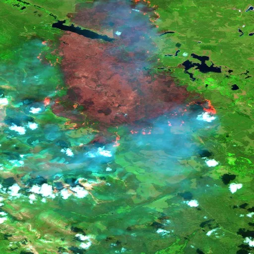 Wildfire near Area E (Bonaparte Plateau) (Jul 17) — Sentinel-2 SWIR (fuego)