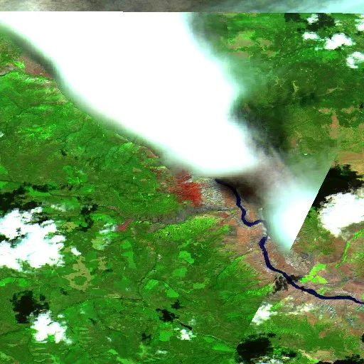 Wildfire near Area E (Bonaparte Plateau) — Sentinel-2 SWIR (fuego)