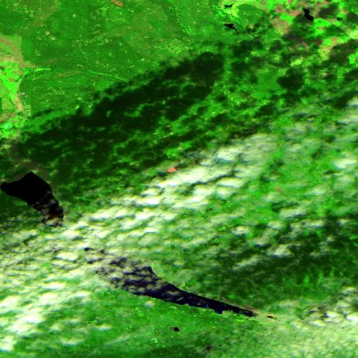 Incendio cerca de Area E (South Lakeside/Dog Creek) — Sentinel-2 SWIR (fuego)