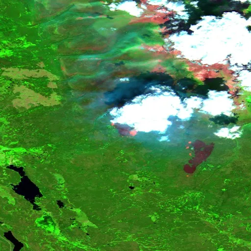 Wildfire near Area J (West Chilcotin) — Sentinel-2 SWIR (fuego)