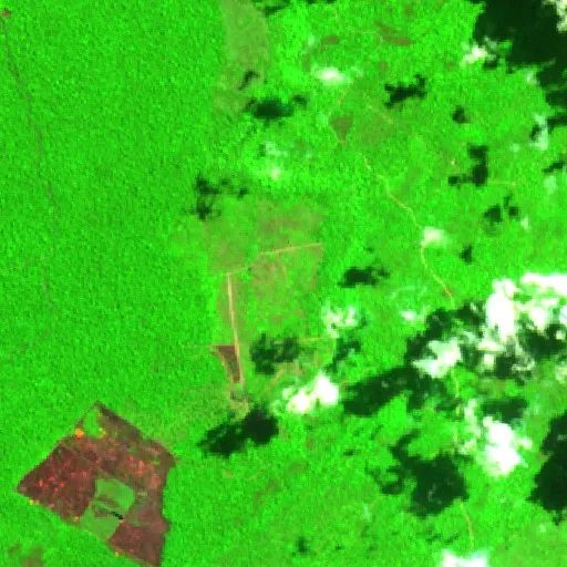 Wildfire near Aripuanã — Sentinel-2 SWIR (fuego)