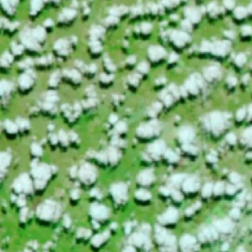 Incendio cerca de Arraias — NASA satellite