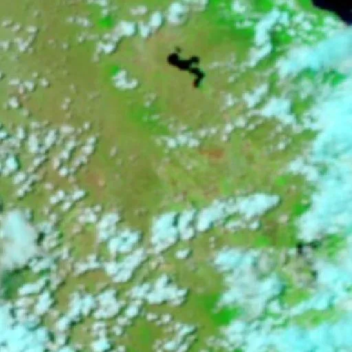Arriga Bushfire — NASA satellite
