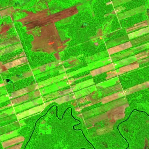 Incendio cerca de Ascención de Guarayos (29 jul) — Sentinel-2 SWIR (fuego)