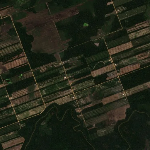Incendio cerca de Ascención de Guarayos (29 jul) — Sentinel-2 true color