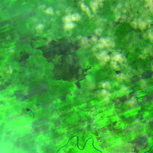 Incendio cerca de Ascención de Guarayos (23 jul) — Sentinel-2 SWIR (fuego)