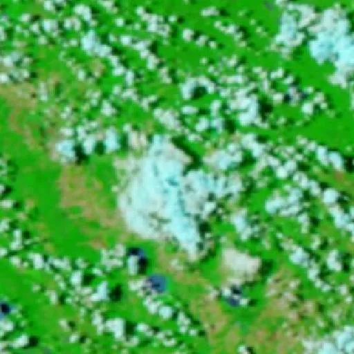 Wildfire near Ascensión — NASA satellite