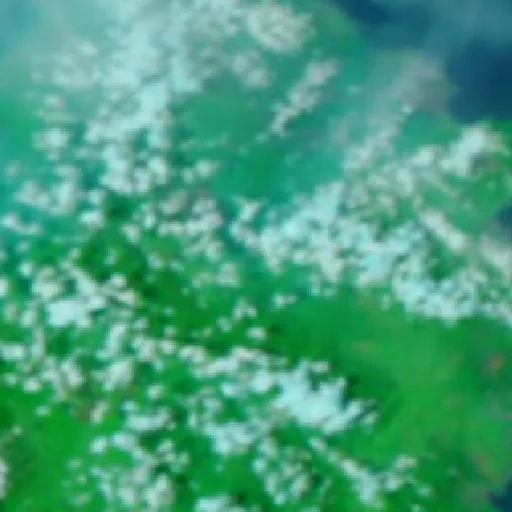 Wildfire near Asera — NASA satellite