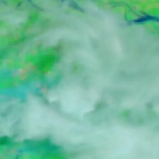 Wildfire near Autazes (Oct 7) — NASA satellite