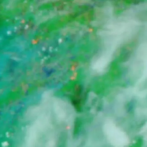 Wildfire near Autazes (Oct 16 · SW) — NASA satellite