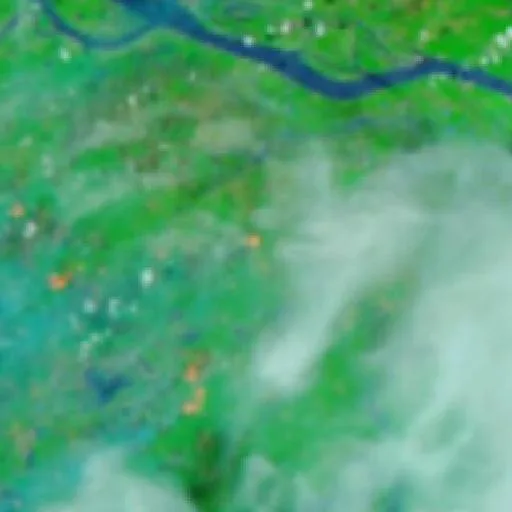Wildfire near Autazes (Oct 16 · NE) — NASA satellite